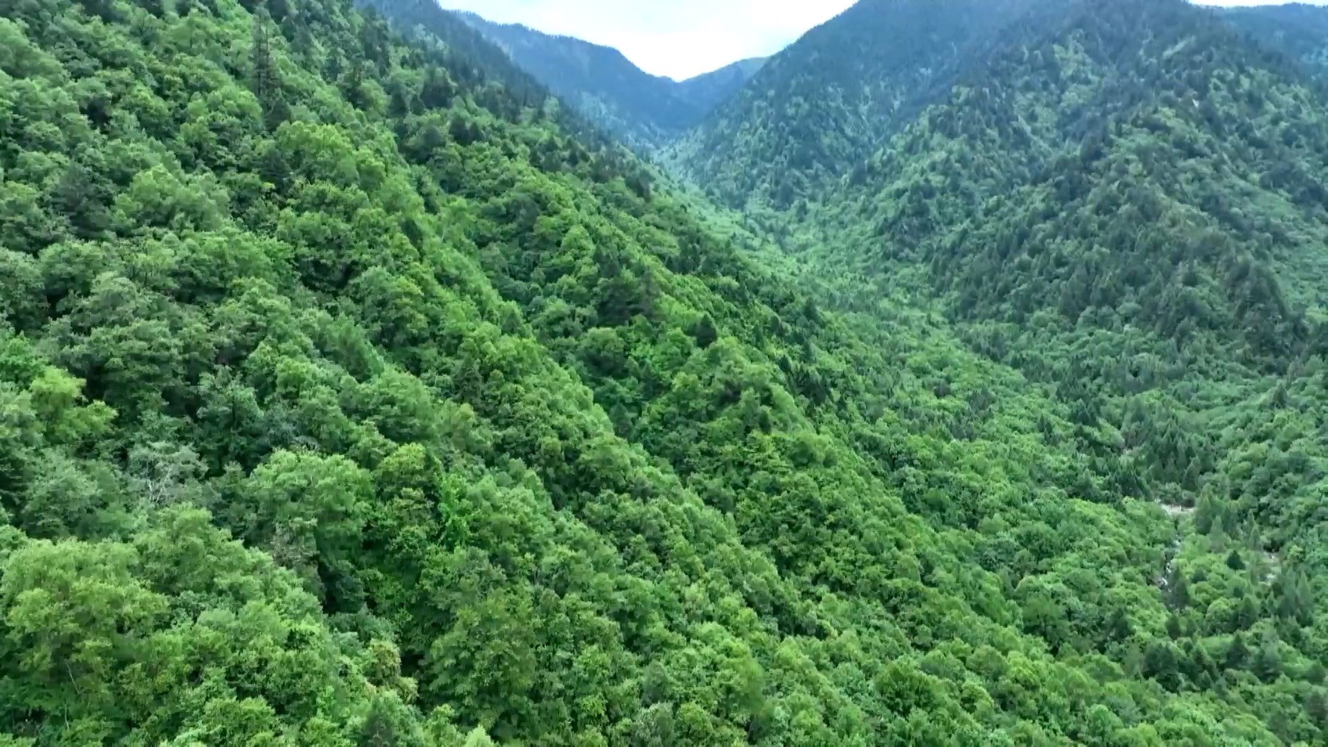 Taman tersebut termasuk di antara 10 taman nasional percontohan yang telah ditinjau oleh otoritas negara